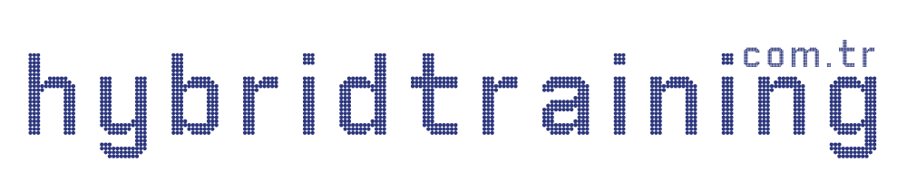 Hybrid Training