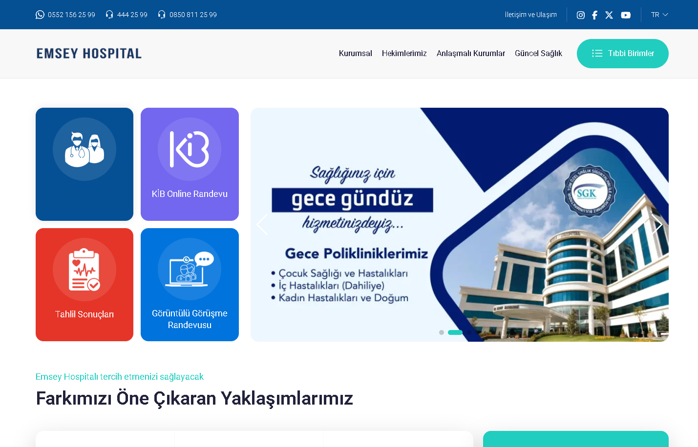 Emsey Hospital web sitesi