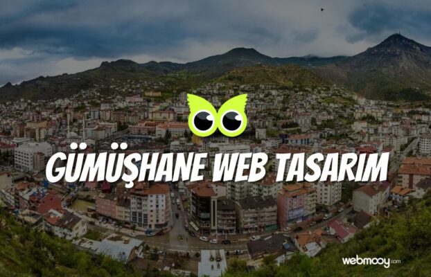 Gümüşhane Web Tasarım