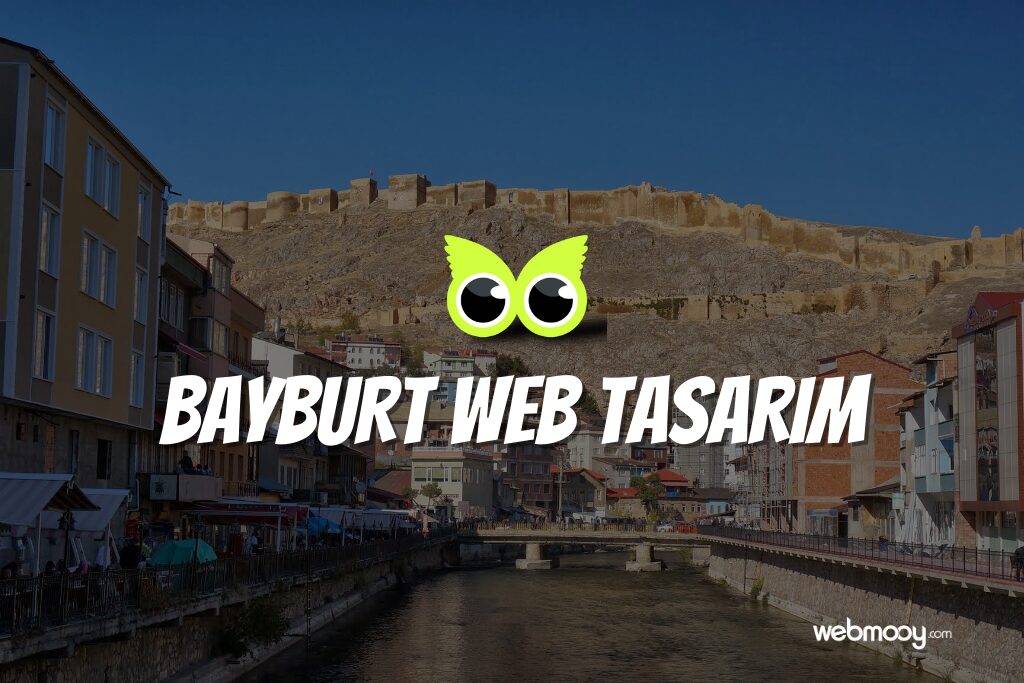 Bayburt Web Tasarım