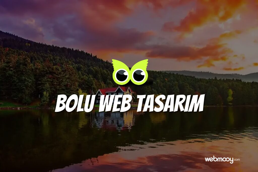 Bolu Web Tasarım