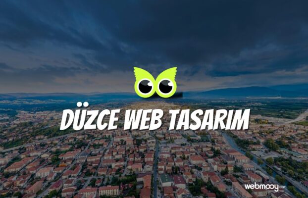 Düzce Web Tasarım