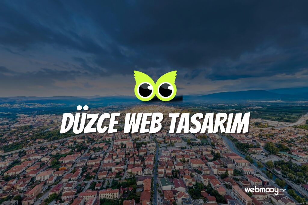 Düzce Web Tasarım