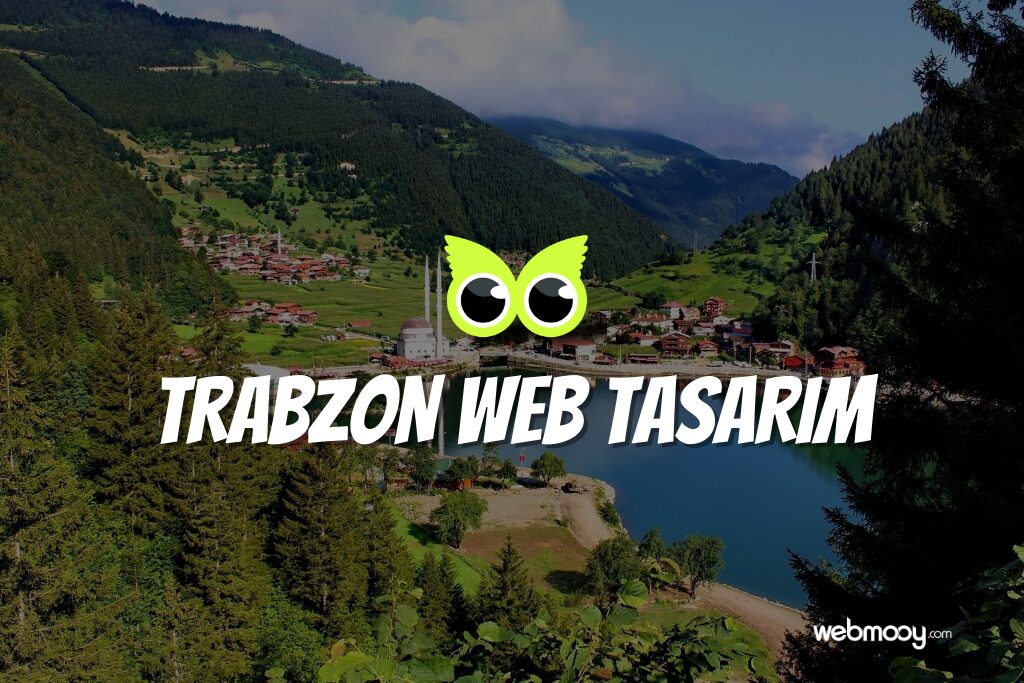 Trabzon Web Tasarım