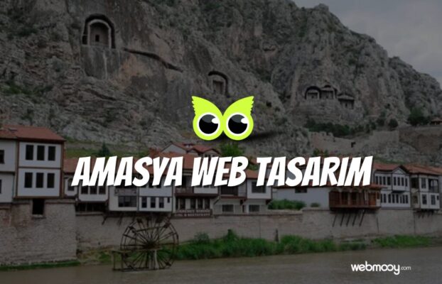 Amasya Web Tasarım