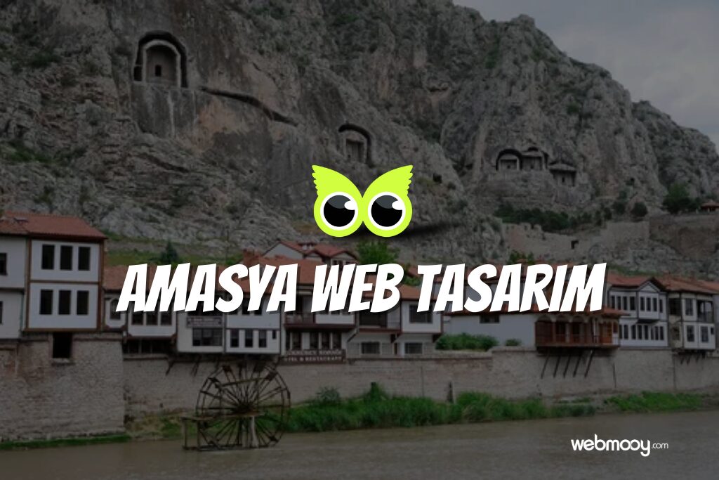 Amasya Web Tasarım