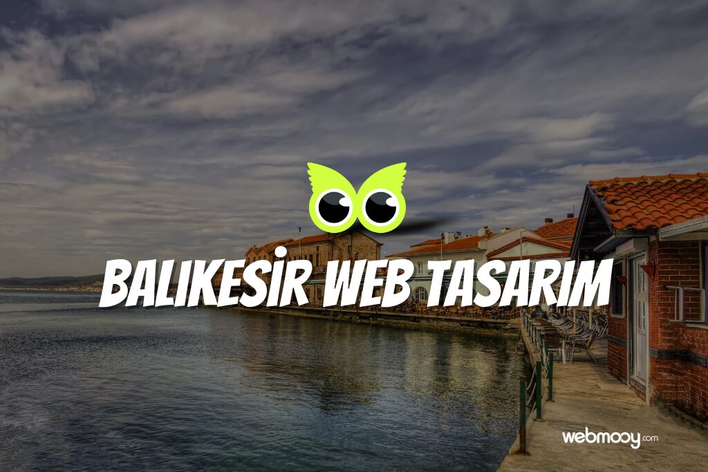 Balıkesir Web Tasarım