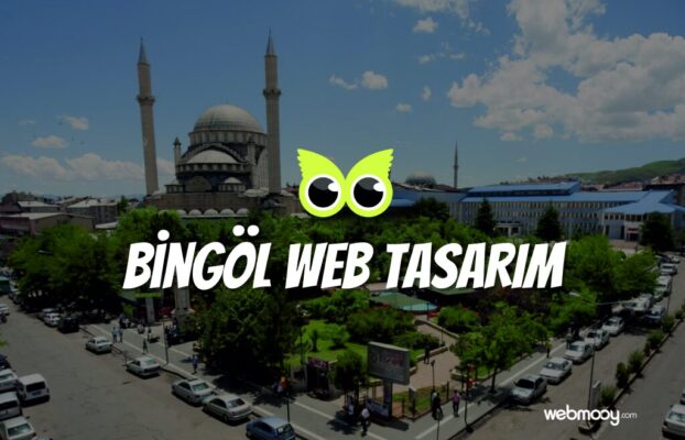 Bingöl Web Tasarım