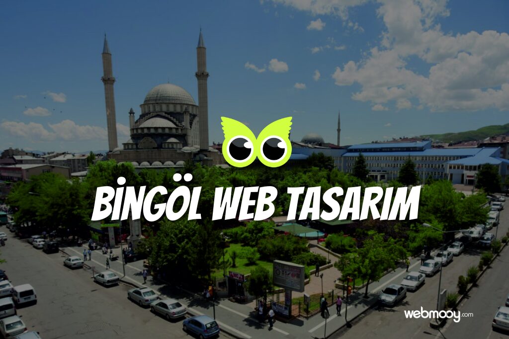 Bingöl Web Tasarım