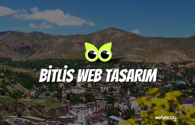 Bitlis Web Tasarım