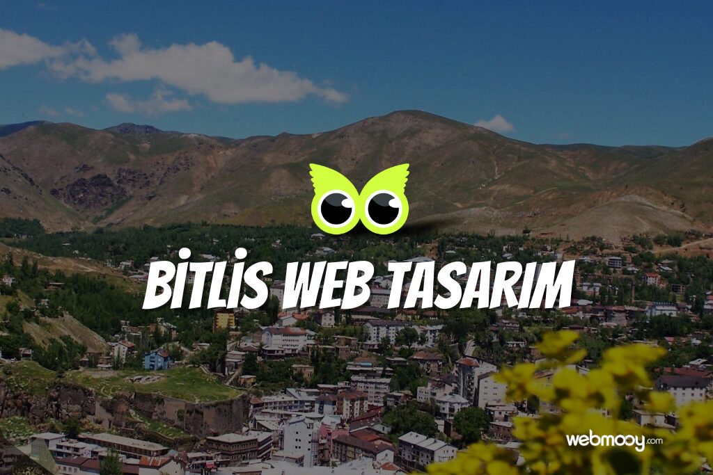 Bitlis Web Tasarım