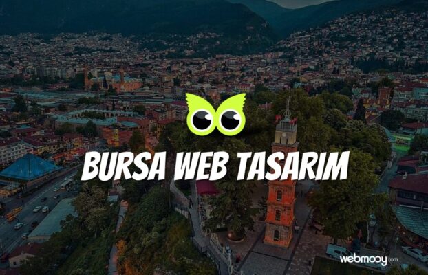 Bursa Web Tasarım