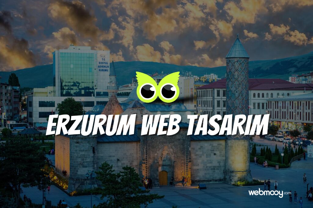 Erzurum Web Tasarım