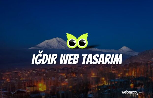 Iğdır Web Tasarım