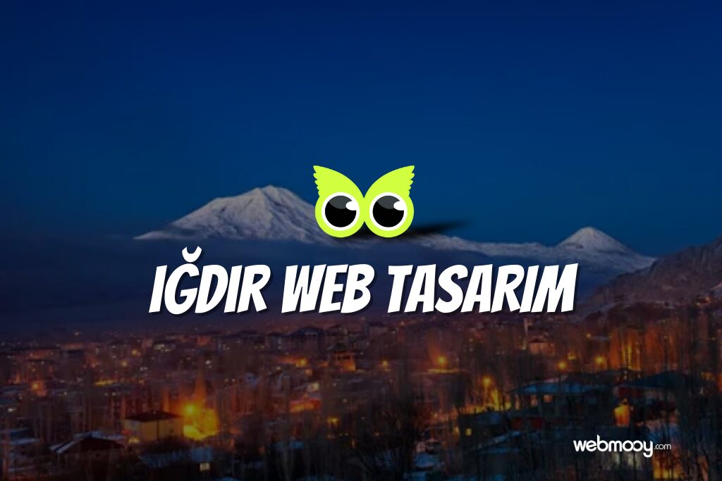 Iğdır Web Tasarım