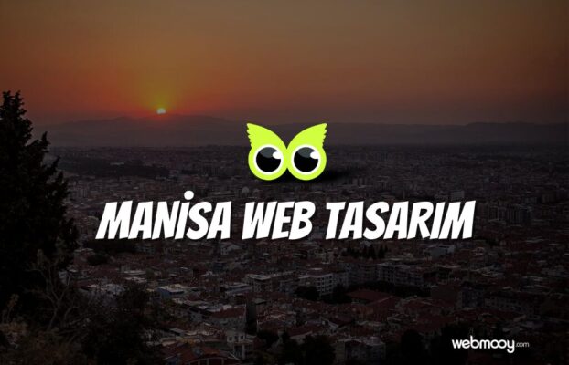 Manisa Web Tasarım 