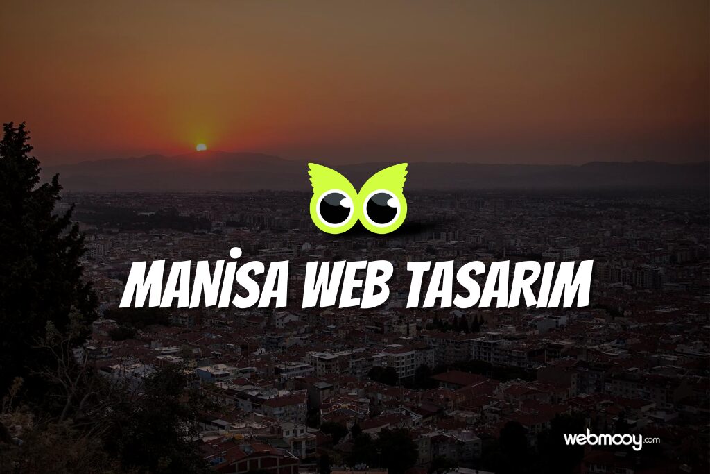 Manisa Web Tasarım 