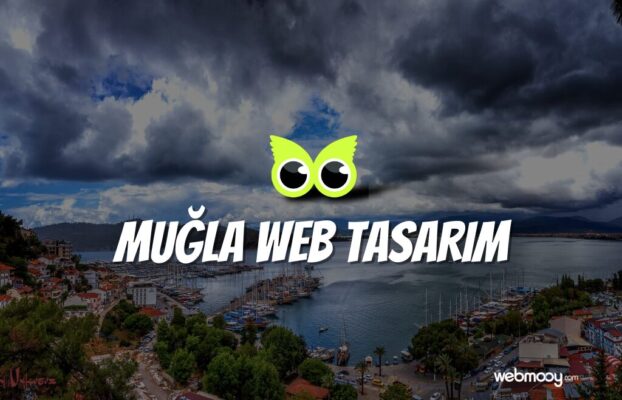 Muğla Web Tasarım