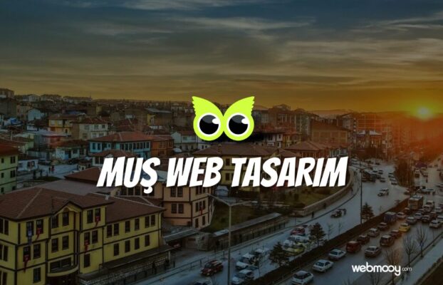 Muş Web Tasarım