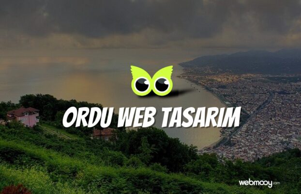 Ordu Web Tasarım