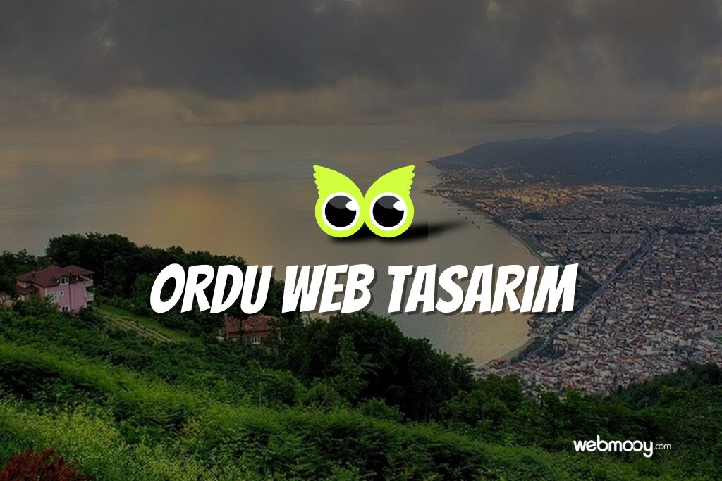 Ordu Web Tasarım