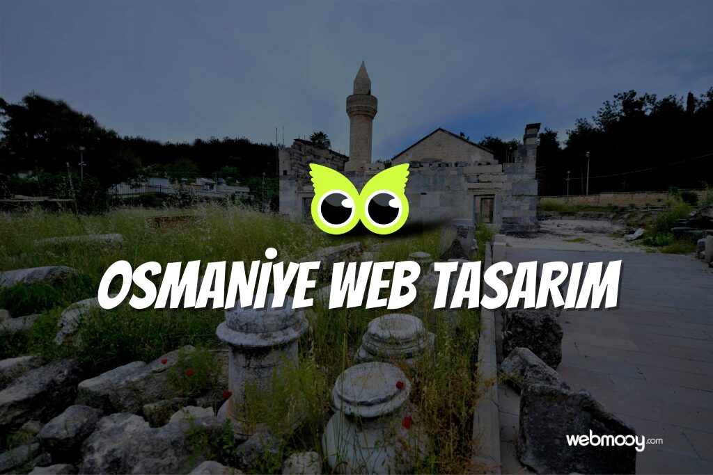 Osmaniye Web Tasarım