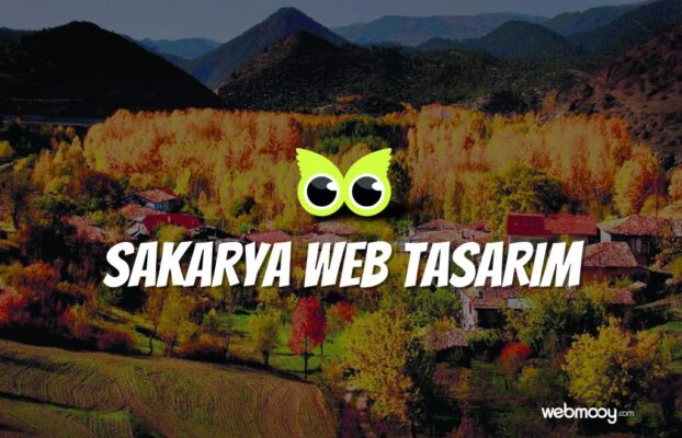 Sakarya Web Tasarım