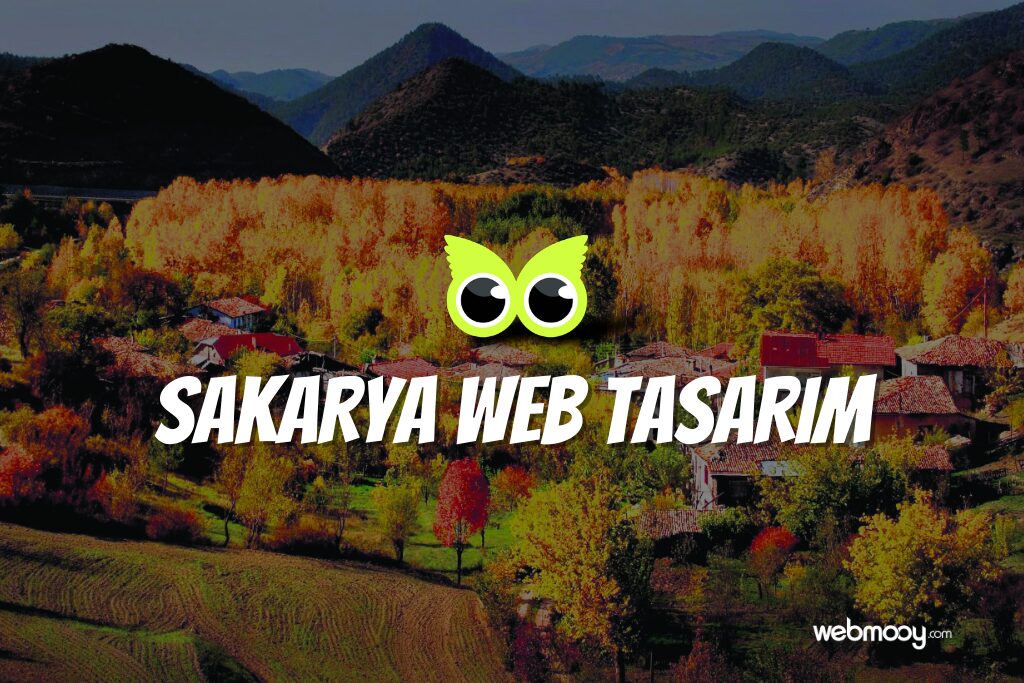 Sakarya Web Tasarım