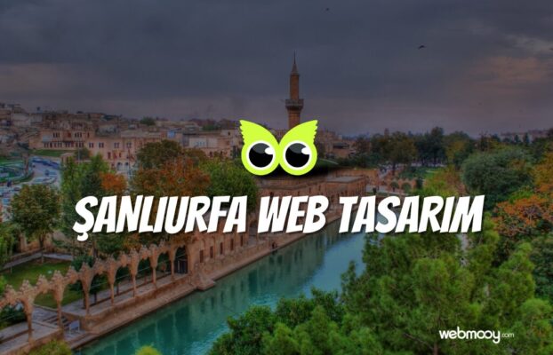 Şanlıurfa Web Tasarım