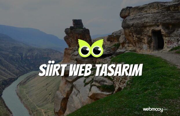 Siirt Web Tasarım