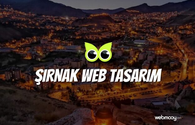 Şırnak Web Tasarım