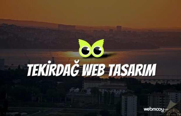 Tekirdağ Web Tasarım