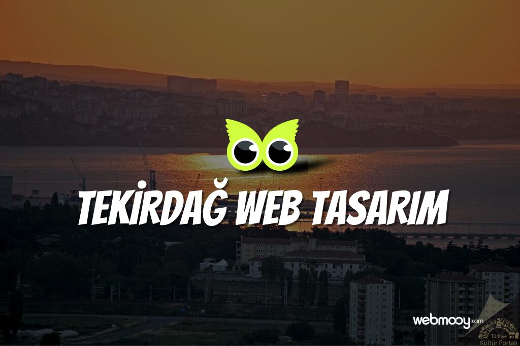 Tekirdağ Web Tasarım