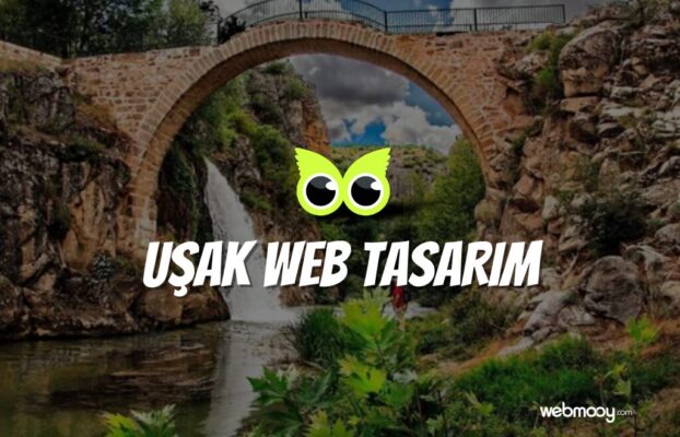 Uşak Web Tasarım