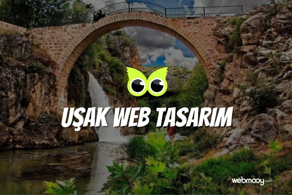 Uşak Web Tasarım